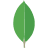 mongoDb